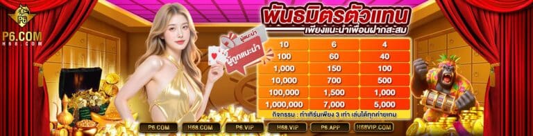 p6 พันธมิตรตัวแทน